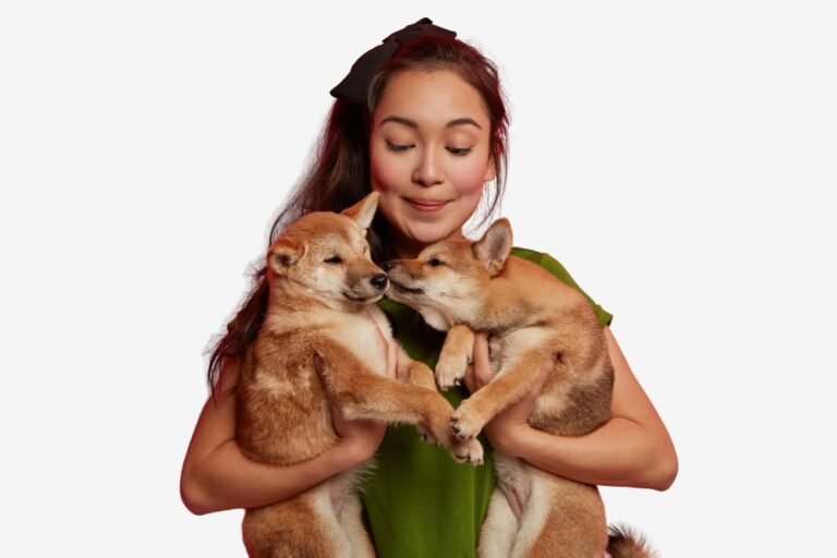 Safe Pet Place customer support — we love helping pet parents