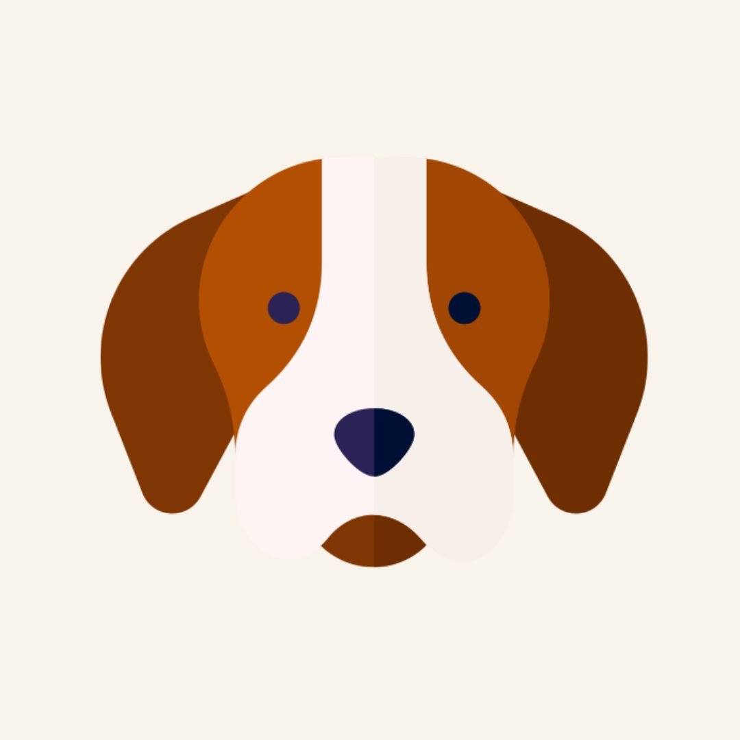 dog-toys