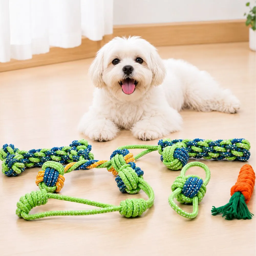 Small white dog playing with colorful cotton rope chew ball toys designed for teething, dental chewing, tug-of-war, and interactive play.