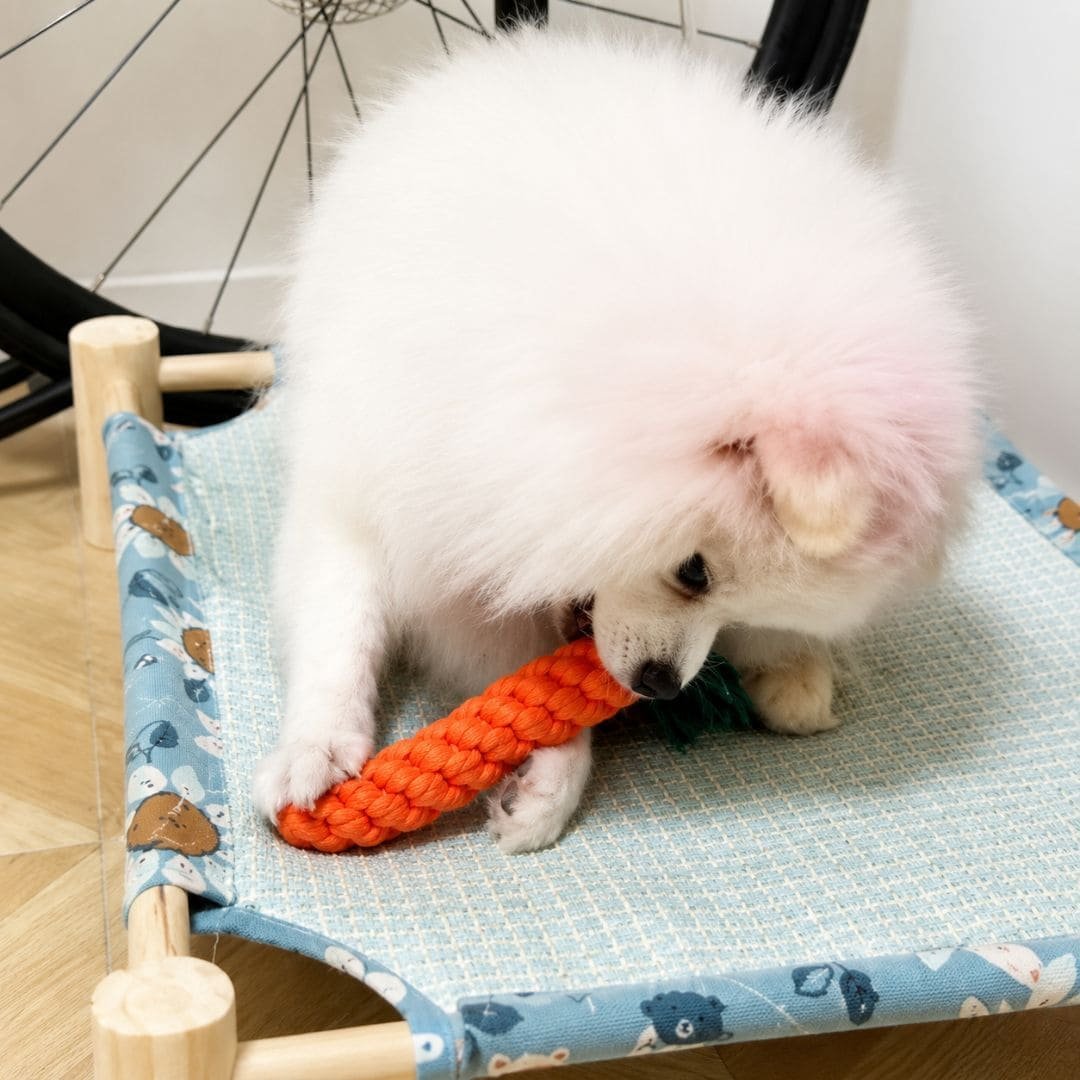 Set of three cotton rope carrot dog toys on woven mat