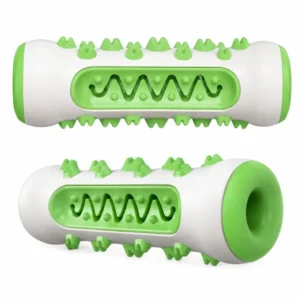 Green dog molar toothbrush chew toy shown from top view with textured molar bumps