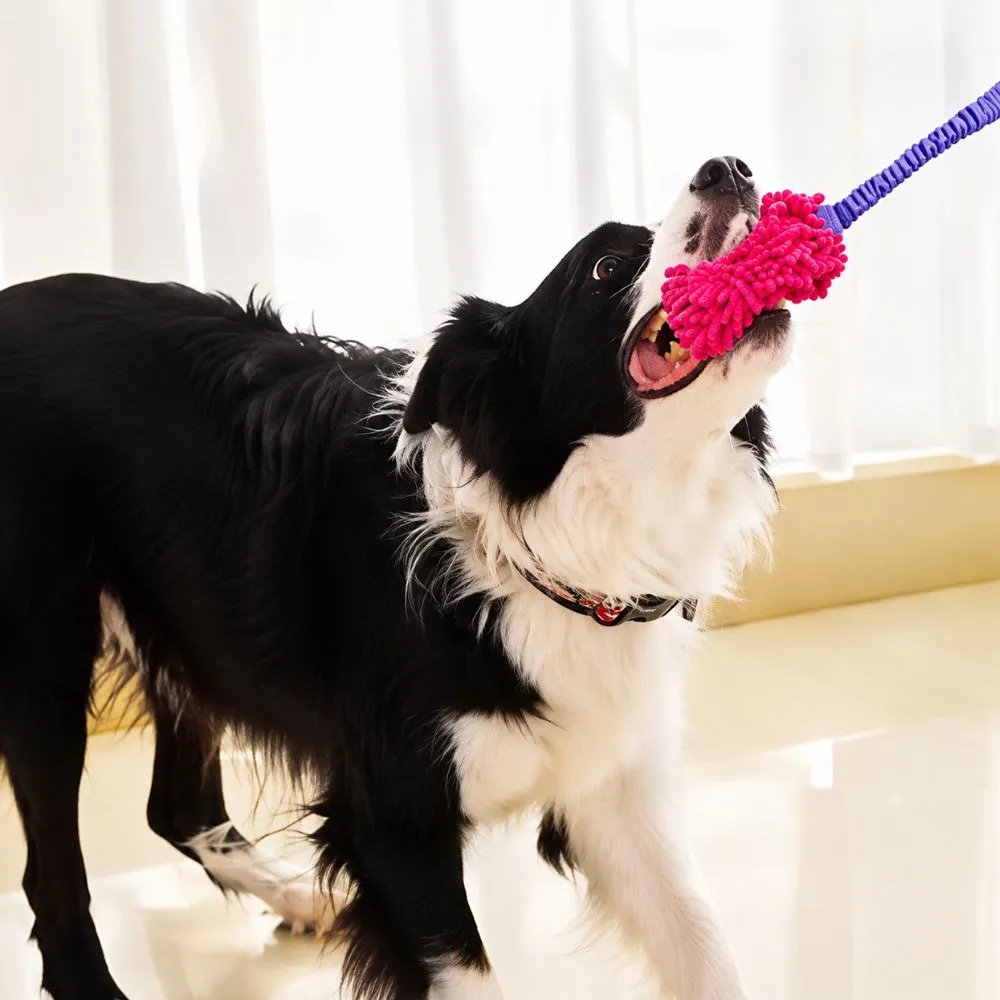 Dog holding bungee tug toy with mop head during outdoor play