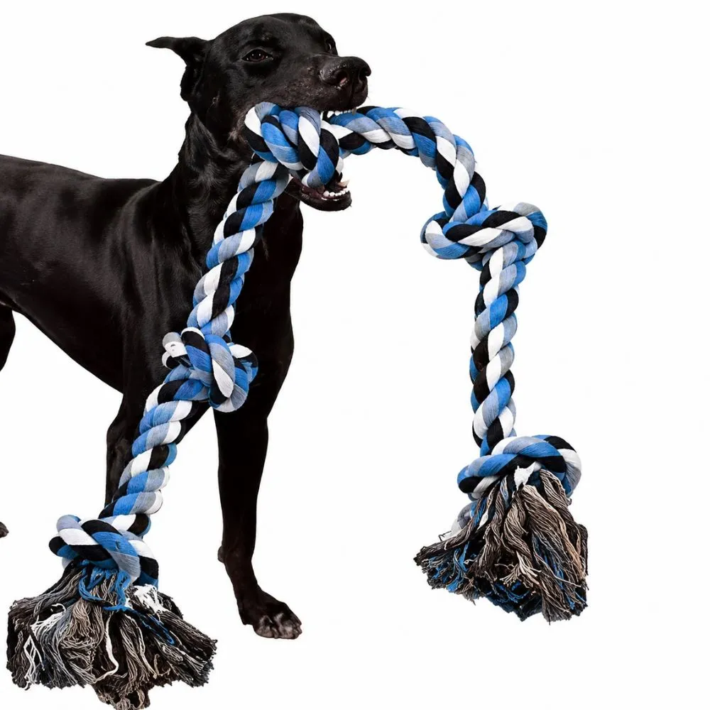 Black dog biting a heavy duty dog rope toy during tug of war play