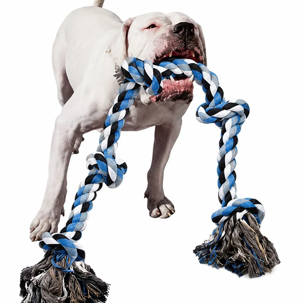 Dog crouched next to an extra-long dog rope toy on the floor