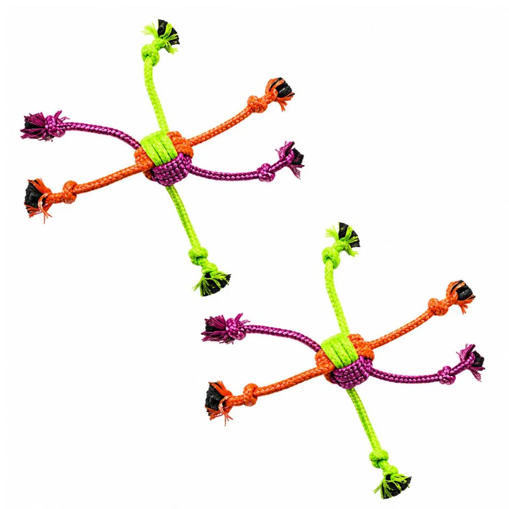Two colorful multi-knot dog rope toys for tug of war, chewing, and interactive play with dogs.