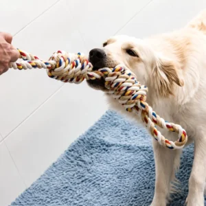Owner playing tug-of-war with a golden retriever using a loop handle dog rope toy