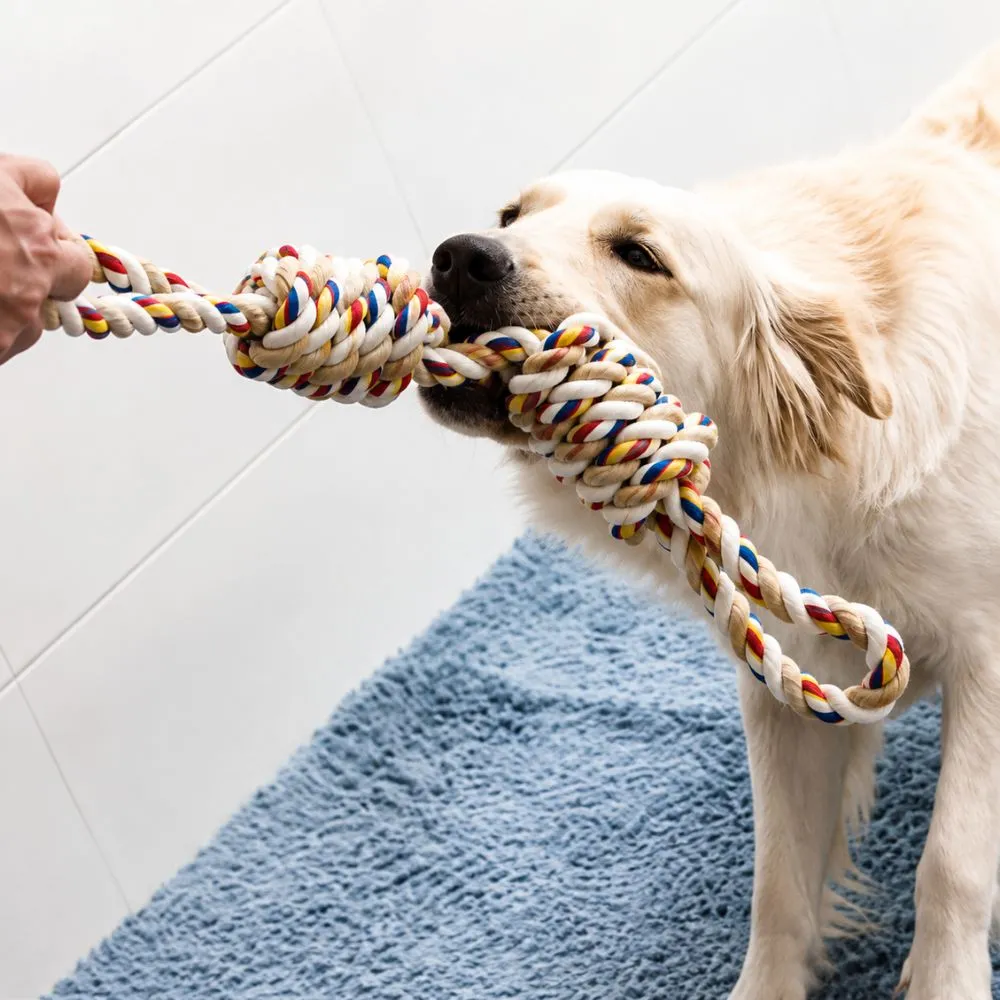 Owner playing tug-of-war with a golden retriever using a loop handle dog rope toy
