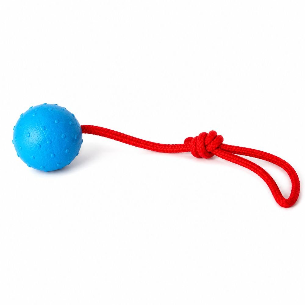 Blue dog ball on rope with nylon rope handle