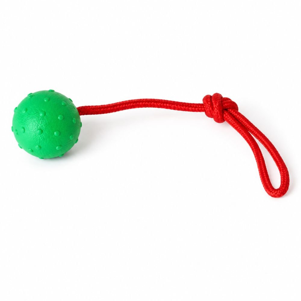 Green dog toy ball on a nylon rope