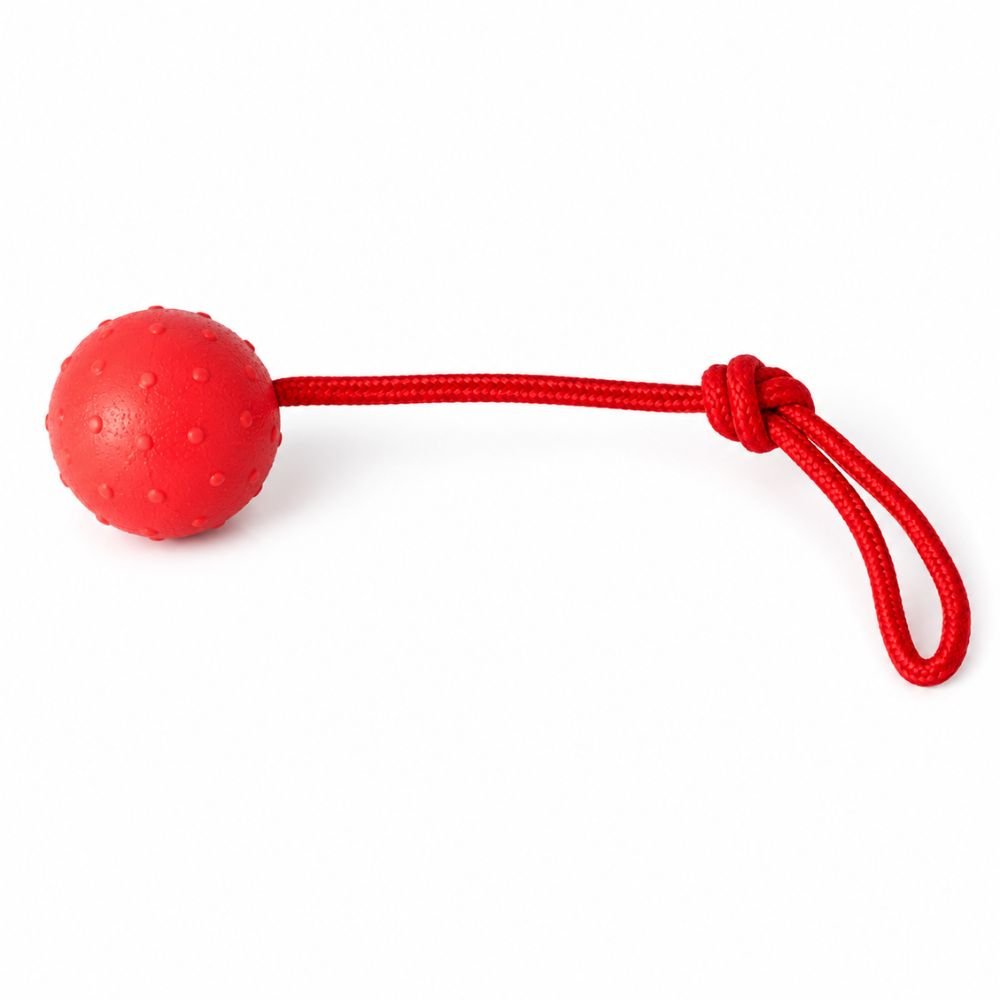 Red dog ball on rope, TPR construction with nylon handle