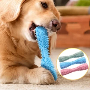 Golden retriever chewing a hexagonal dog toothbrush stick