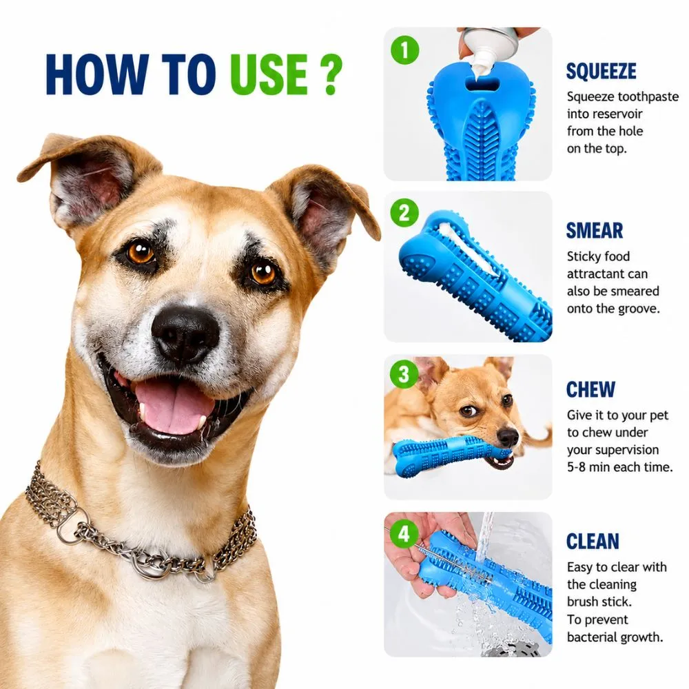 Step-by-step guide showing how to use the dog dental chew toy with toothpaste