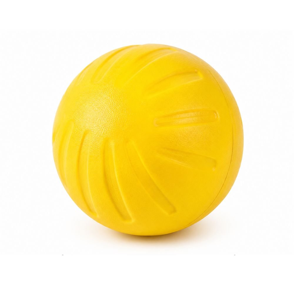 EVA foam dog training ball