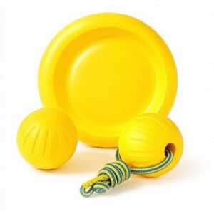 EVA foam dog toy set with floating dog toys, flying disc, rope ball, and textured balls