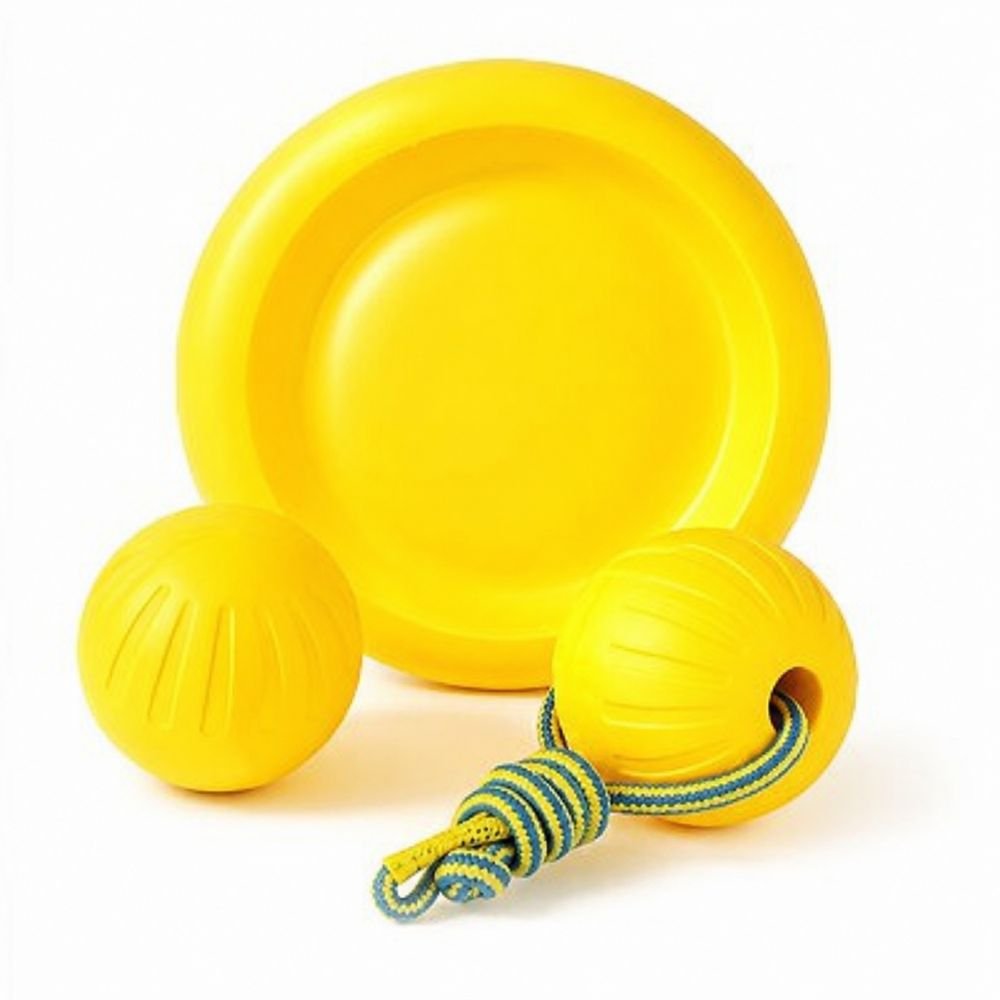 EVA foam dog toy set with floating dog toys, flying disc, rope ball, and textured balls