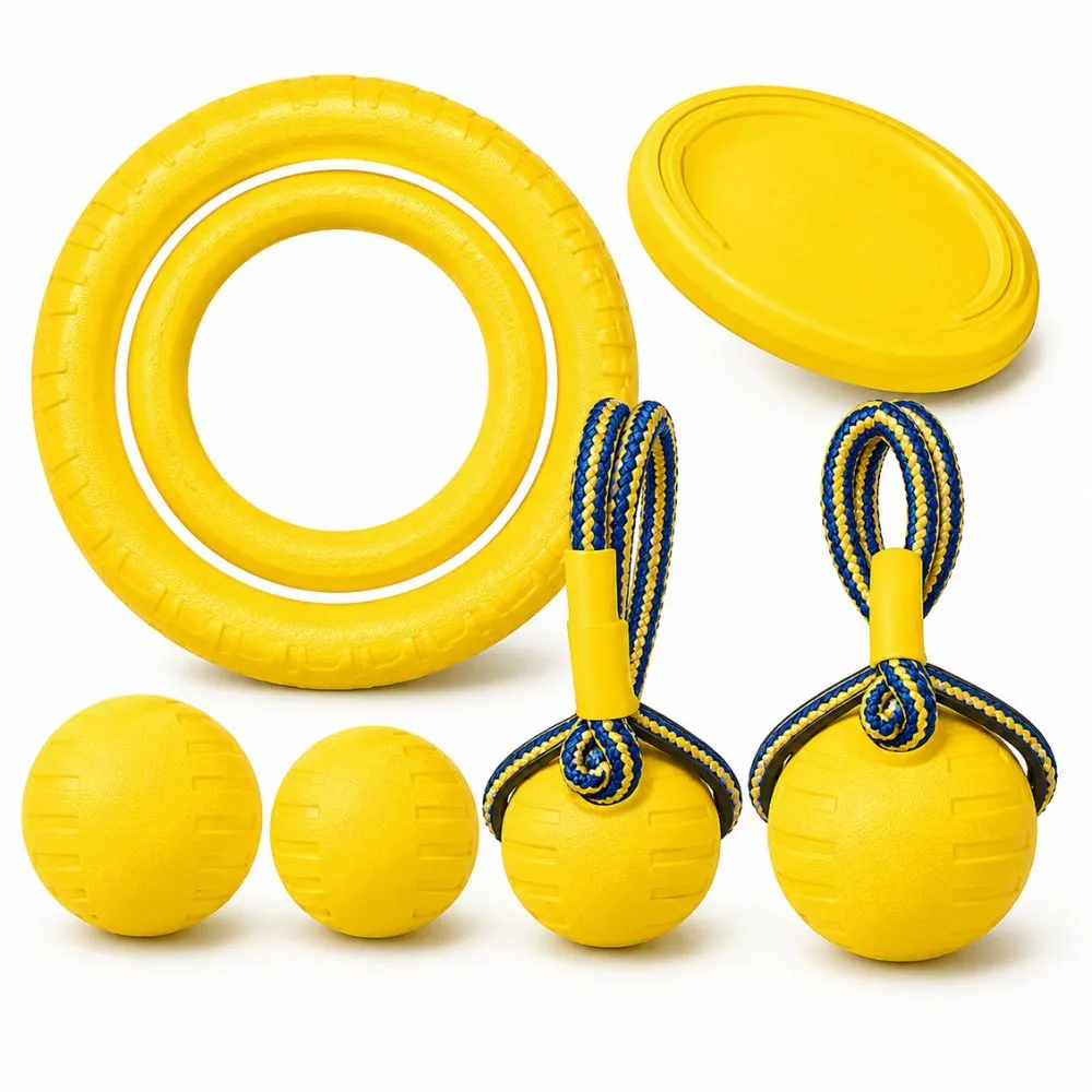 EVA foam dog toy set with pull ring, flying disc, balls, and tether toys