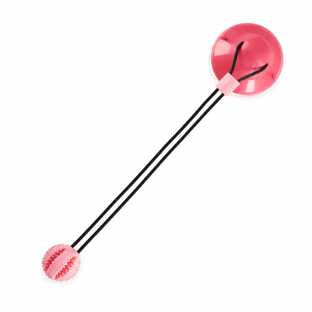 Pink dog tug toy with nylon cord and suction cup attachment