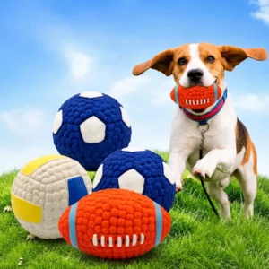 Beagle dog holding a latex squeaky football dog toy next to soccer ball and volleyball designs on grass