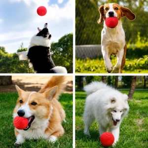 Solid rubber dog ball in red, durable chew and fetch toy