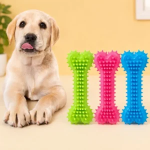 Spiky dog chew toy in green, pink, and blue displayed next to a puppy