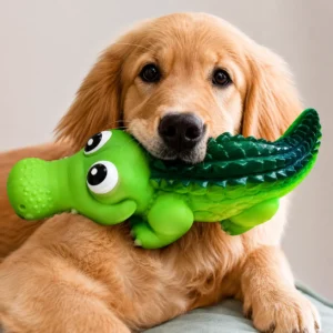 Golden Retriever holding a squeaky rubber crocodile dog toy