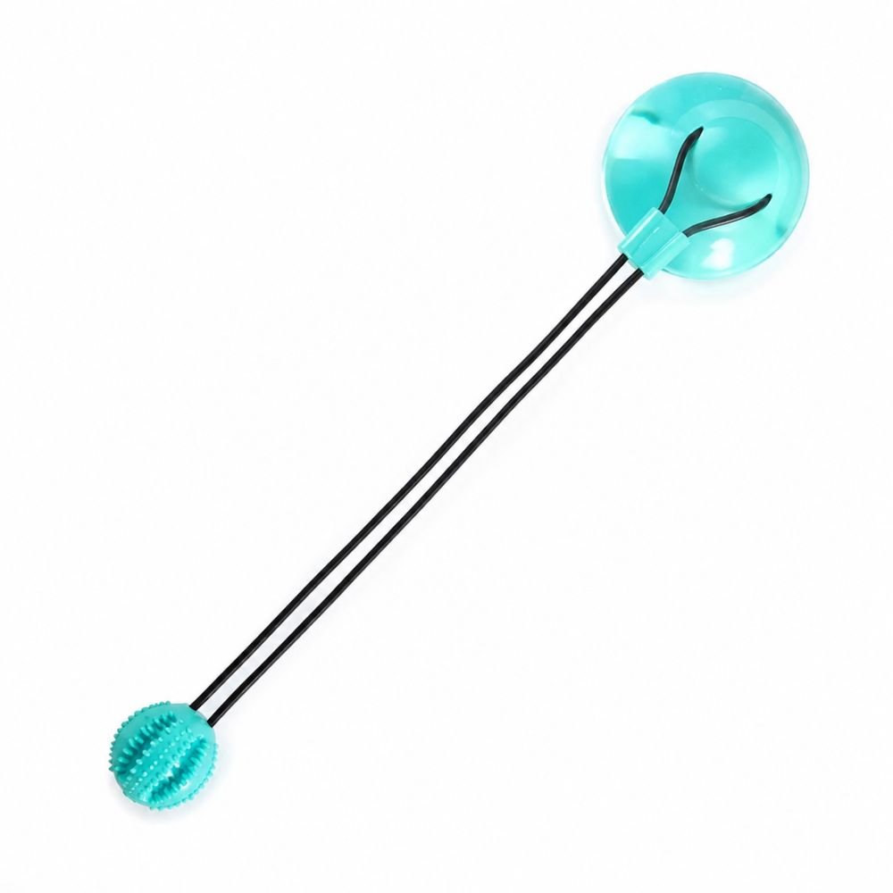 Teal suction cup dog toy with rope and textured chew ball