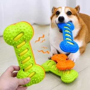 Corgi chewing blue TPR squeaky bone toy with orange and green versions nearby