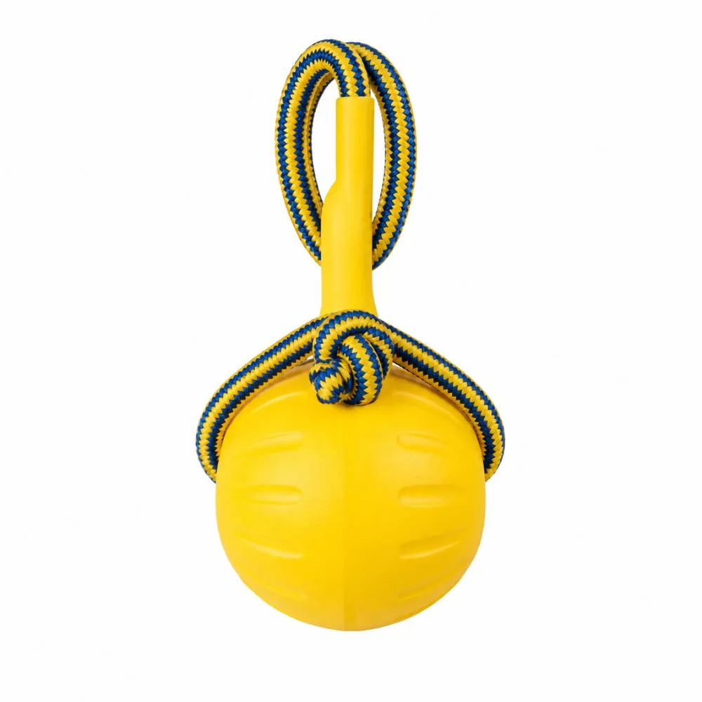Yellow EVA foam dog ball with blue and yellow rope handle