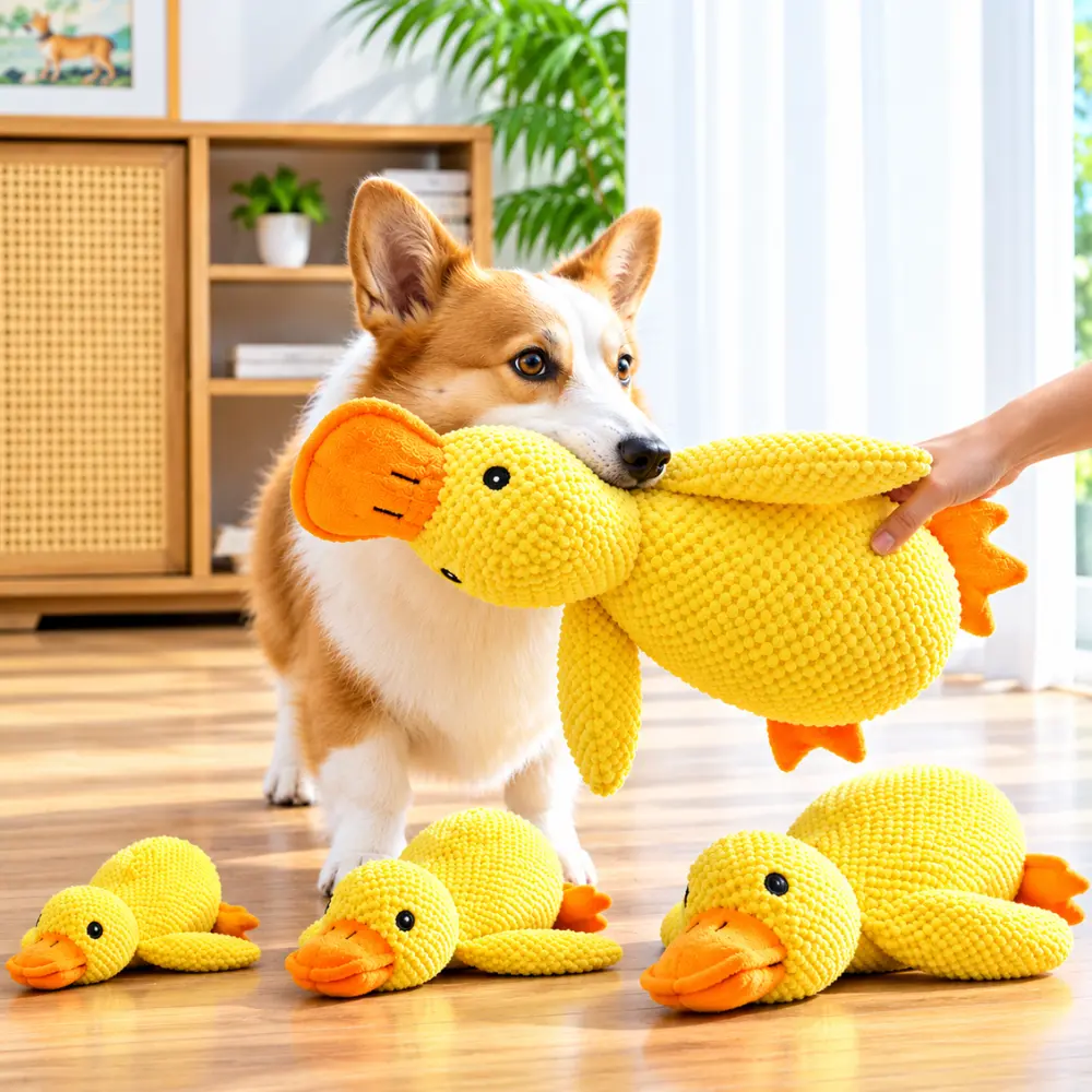 Corgi playing with the large Calming Duck Dog Toy indoors