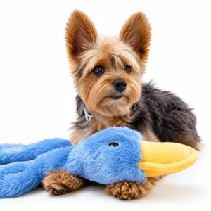 Dog with a blue stuffing-free squeaky dog toy shaped like a crinkle duck