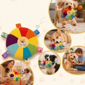 Dogs carrying and playing with the Shiba dog style plush flying disc indoors