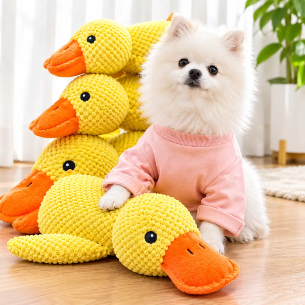 Small dog next to the Pineapple Velvet Dog Toy in a companion duck lifestyle setting