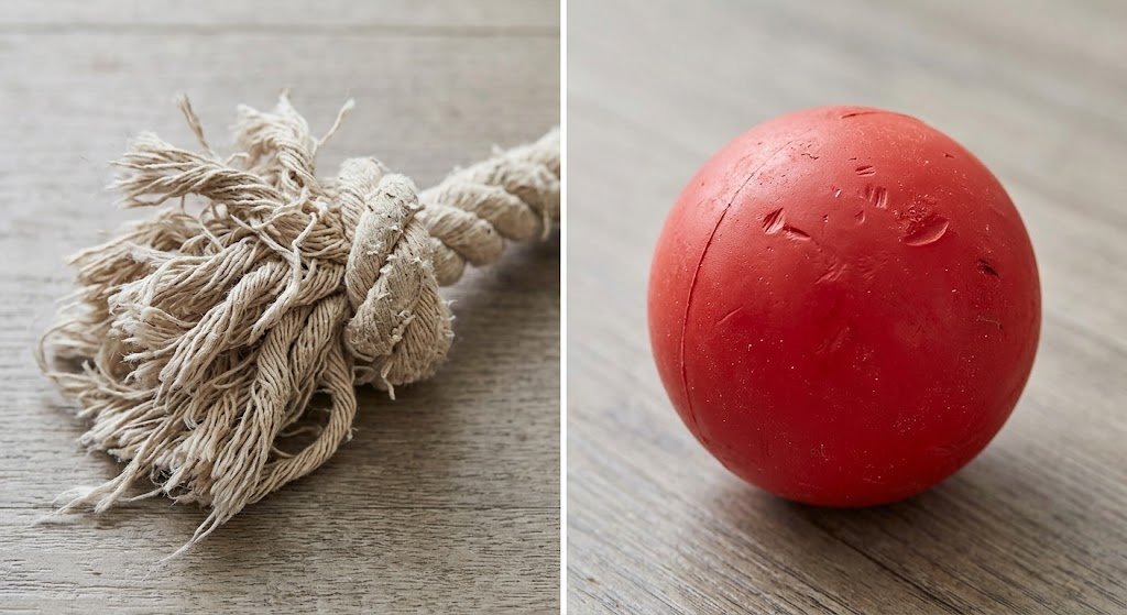 rubber dog toys vs rope dog toys — worn rope toy next to a barely-scratched rubber ball