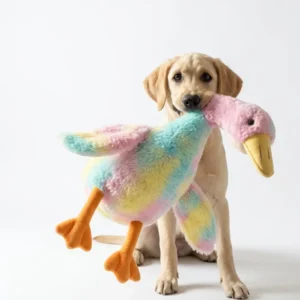 Oversized duck dog toy in seven-color tie-dye fleece carried by a Labrador puppy