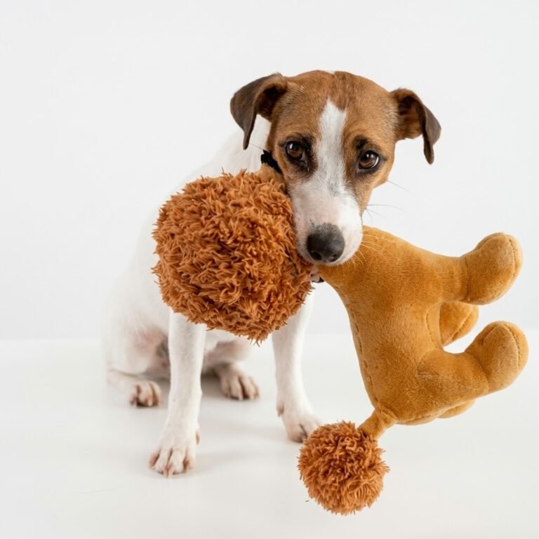 Are plush dog toys safe? Small dog holding a soft plush toy in its mouth
